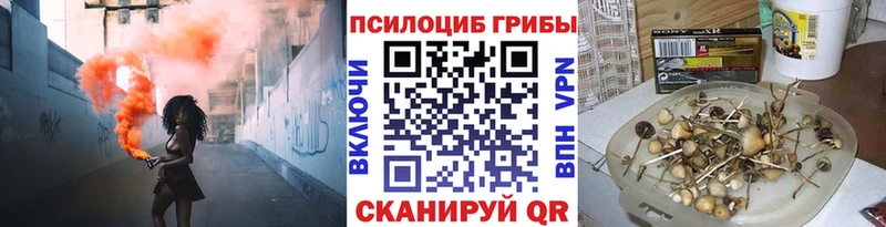 Галлюциногенные грибы Psilocybe  kraken сайт  Жигулёвск 